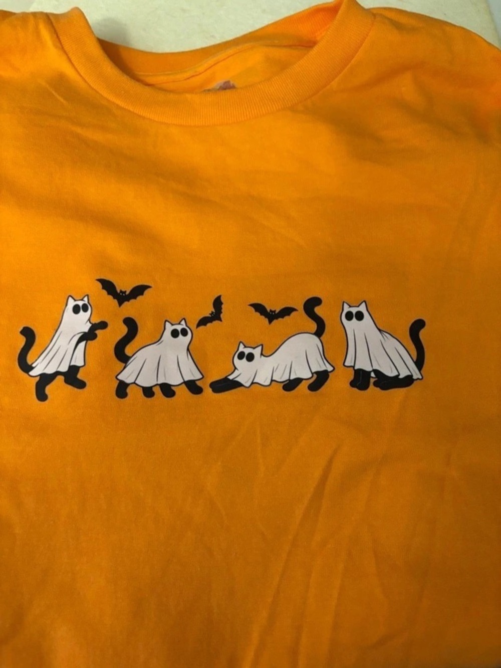 Desert Grounds Cat Graphic Tee in Orange Size Large New